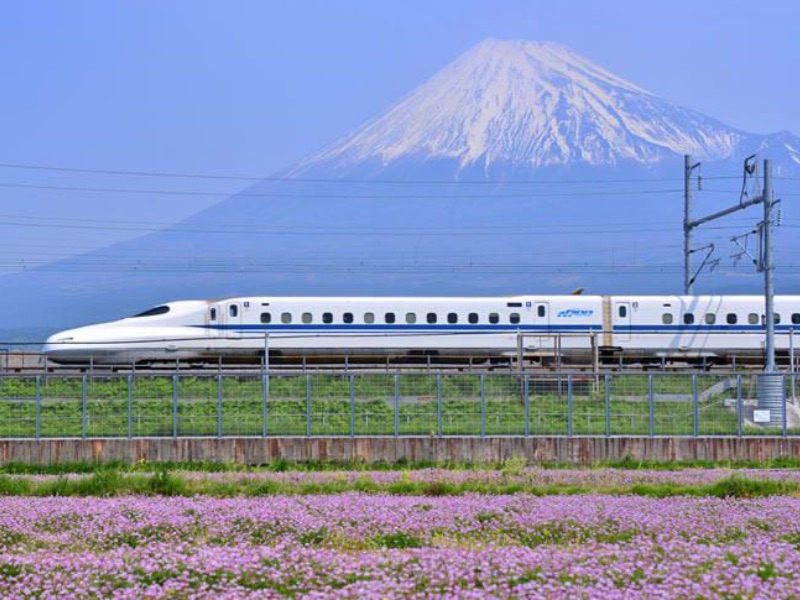 Bullet train experience