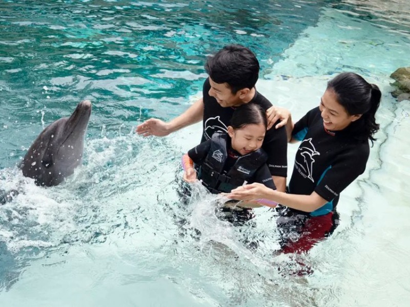 Dolphine Discovery Sentosa Island