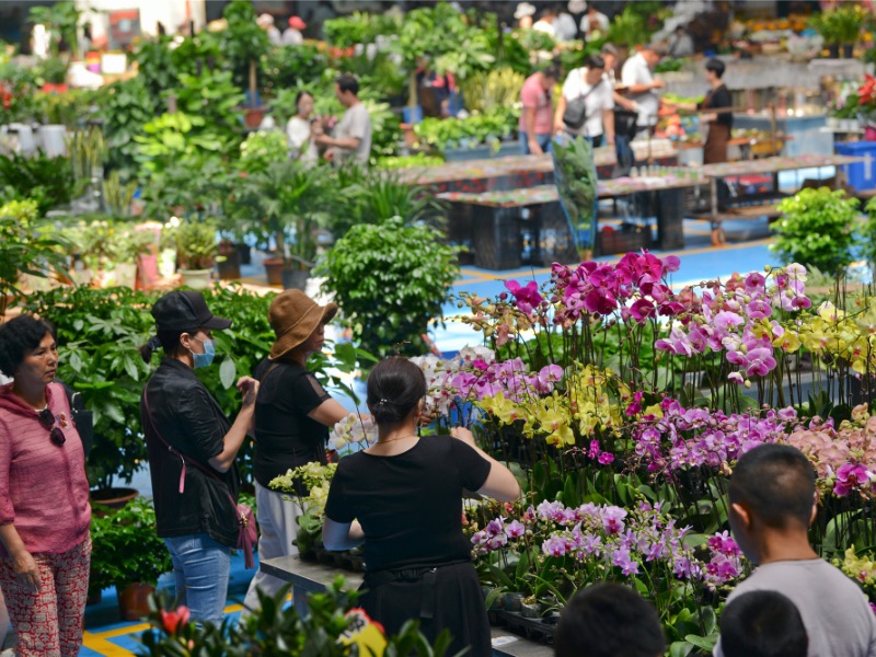 Dounan Flower Market Kunming