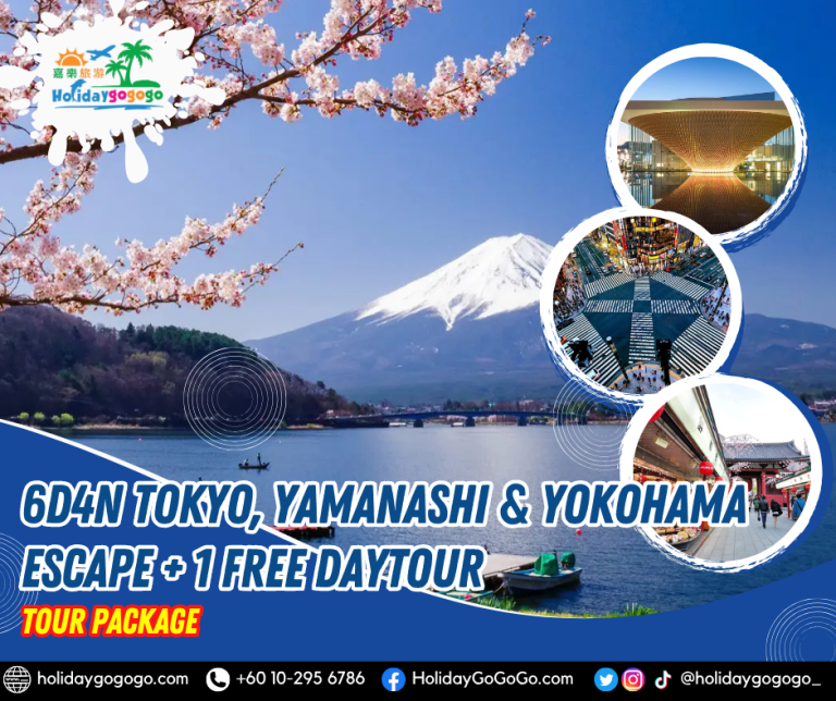 6D4N Tokyo, Yamanashi & Yokohama Escape + 1 Free DayTour Package