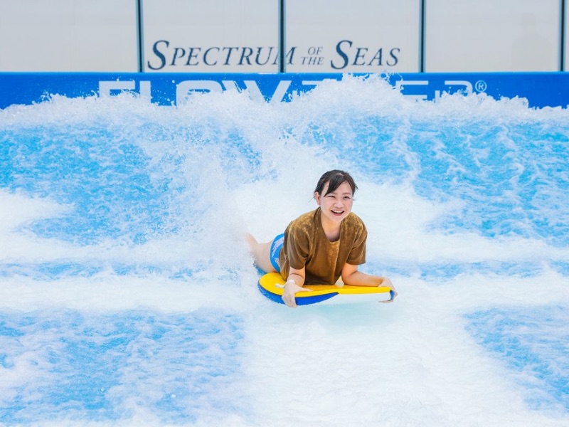 FlowRider Surf Simulator