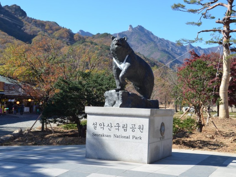 Iconic bear statue