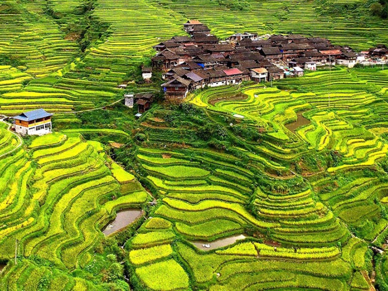 Longsheng Longji Rice Terraces