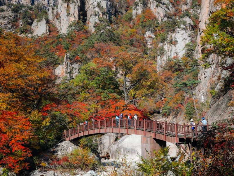 Mt Sorak National Park view