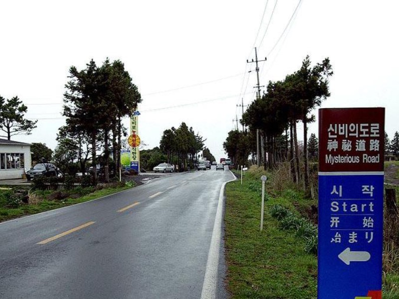 Mysterious Road Jeju
