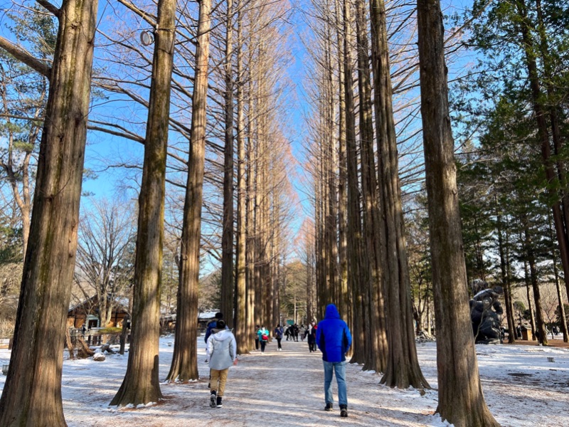 Nami island