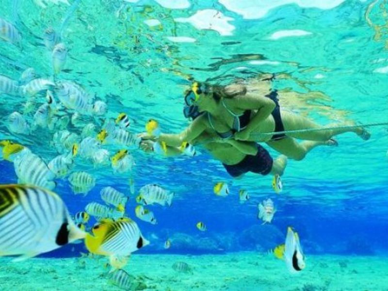 Snorkeling activity 