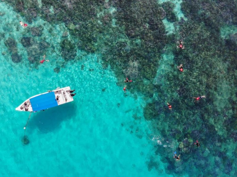 Snorkeling trip at Tioman Island