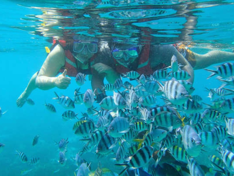 Snorkelling experience