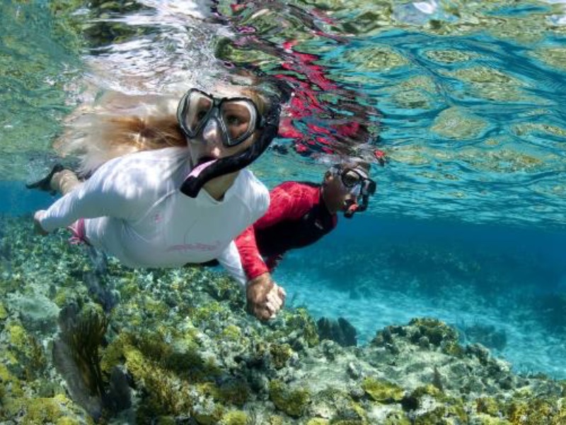 Tioman Snorkelling experience