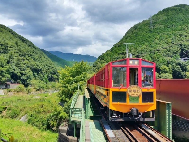 Torokko Train
