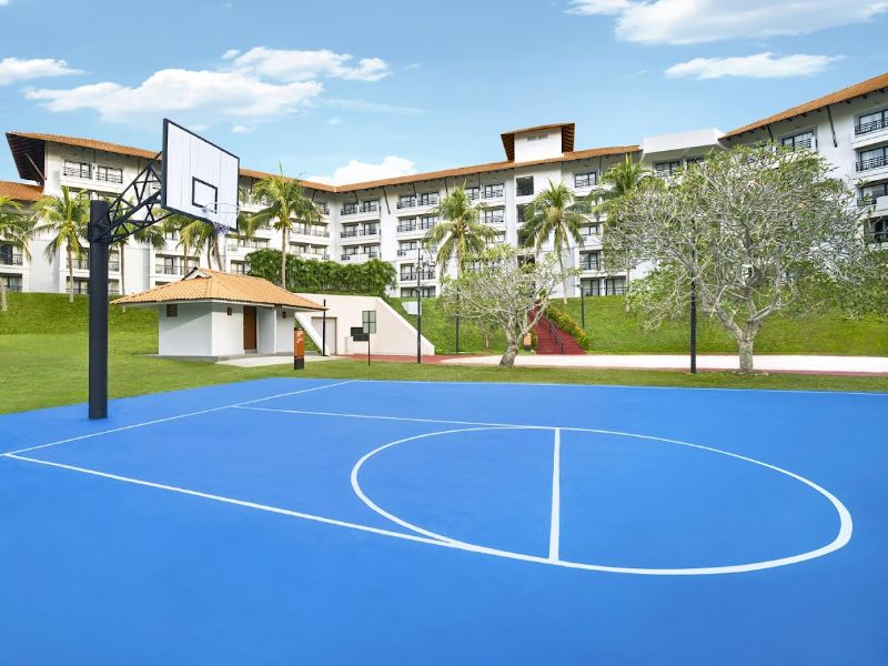 Basketball Court