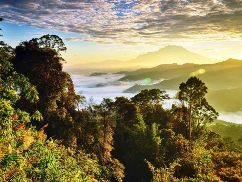 Borneo