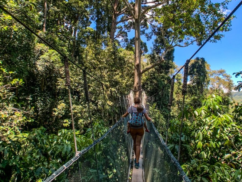 Canopy Walk