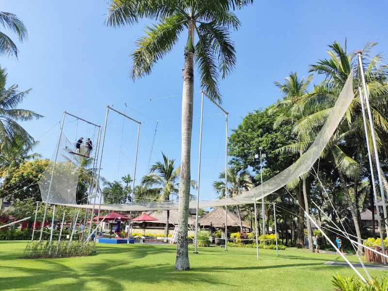 Flying Trapeze Field