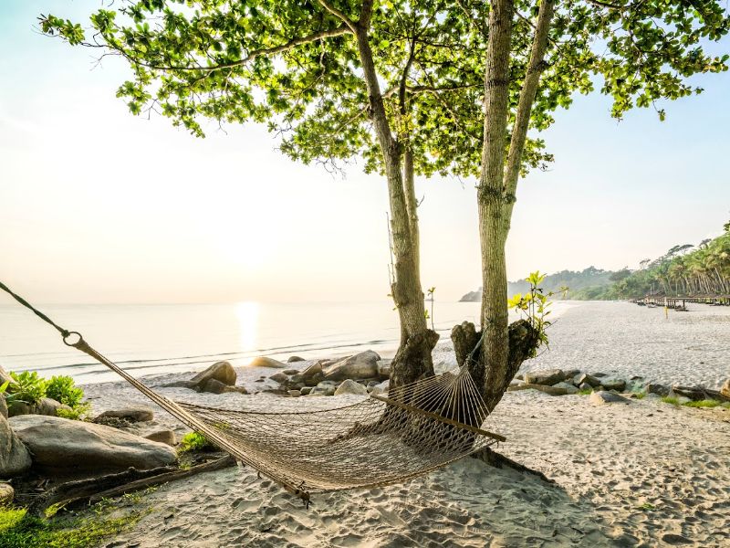 Hammock on beach