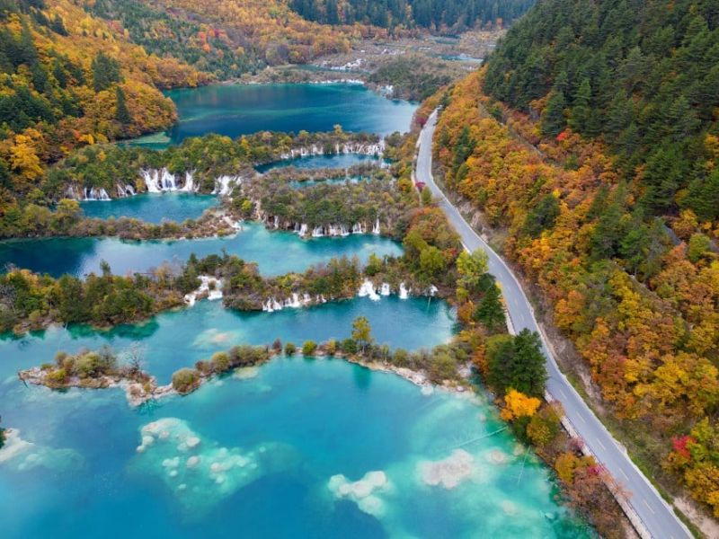 (2025 Promo) 7d5n Best of Chengdu & Panda Visit Tour Package