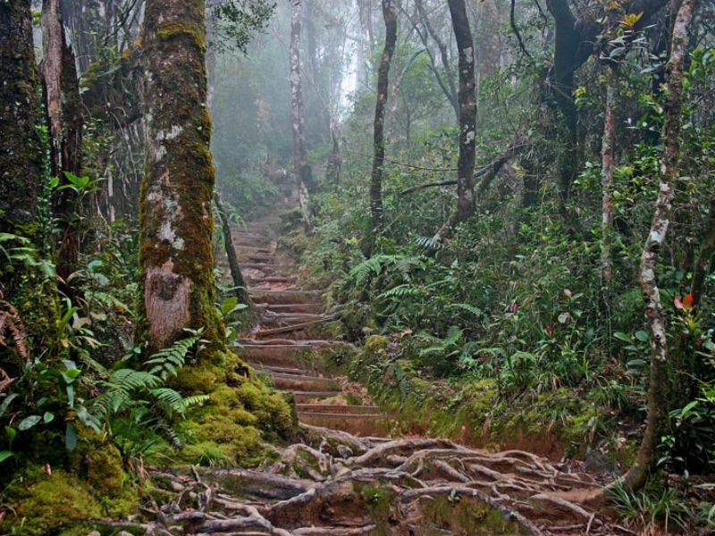 Kinabalu National Park