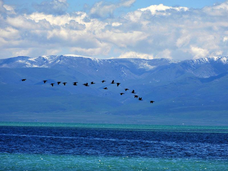 Qinghai Lake 