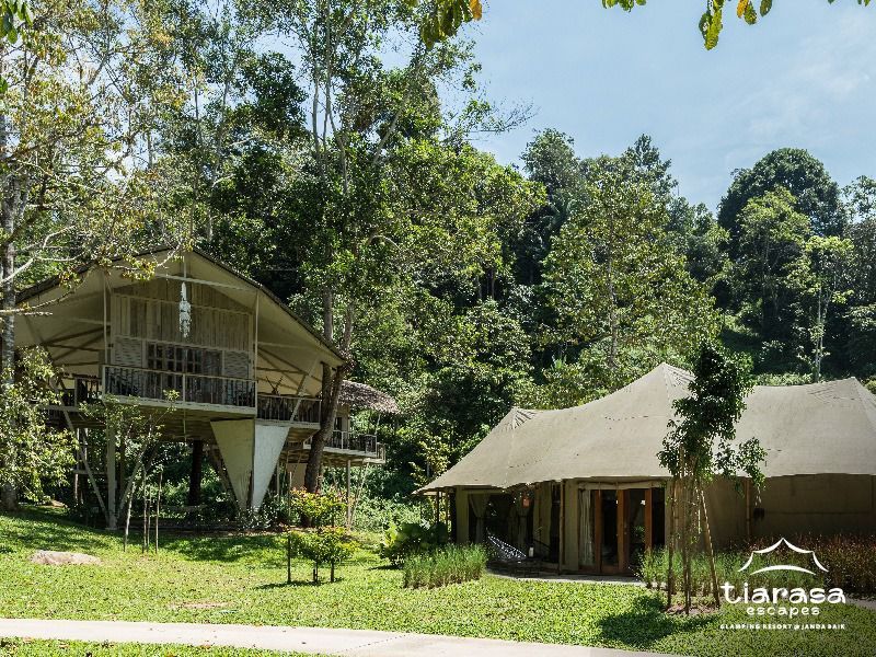 Room view in Jungle