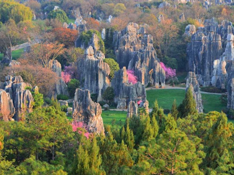 View of Stone Forest
