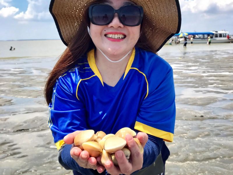 Clam Harvesting