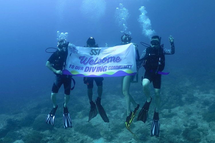 Diving in Tenggol Island