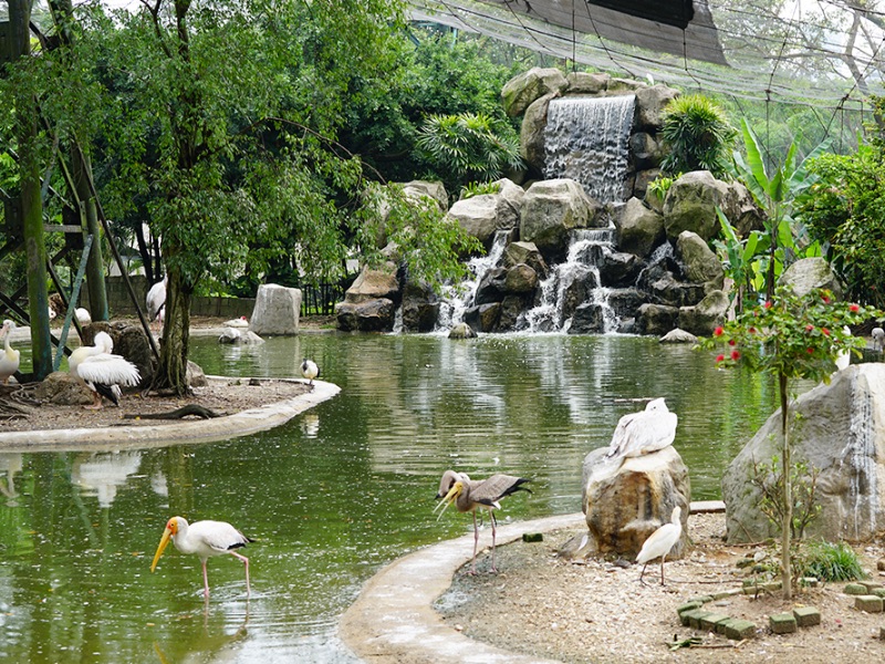 Kuala Lumpur Bird Park