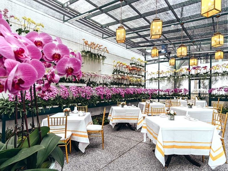 Orchid Sanctuary