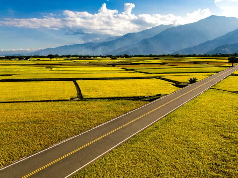 伯朗大道风景