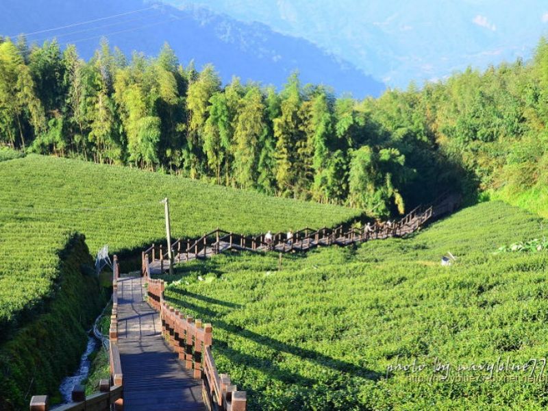 阿里山国家风景区