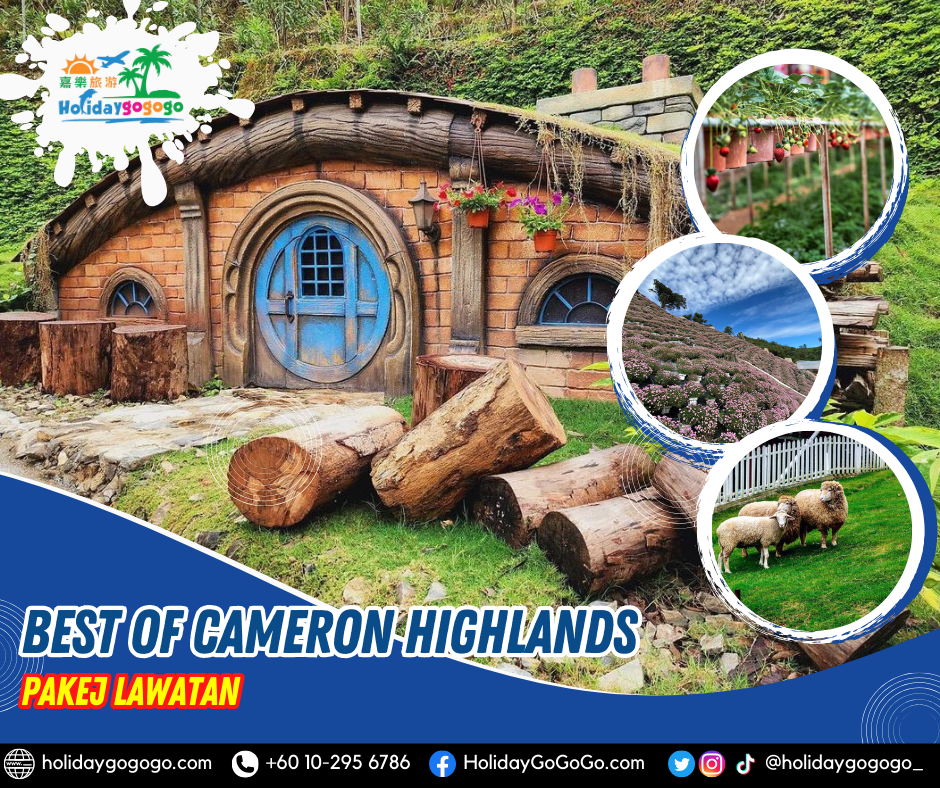(2026) 4h3m Best of Cameron Highlands Pakej Lawatan