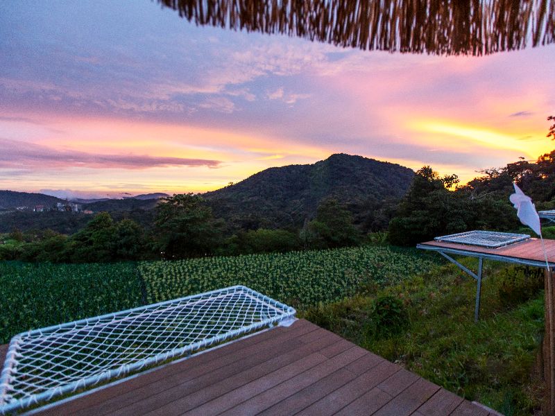 Stellar Golden Hill