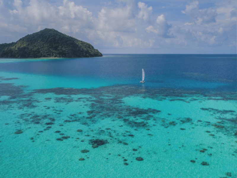 catamaran sailing