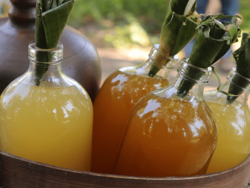 jamu health tonic workshop