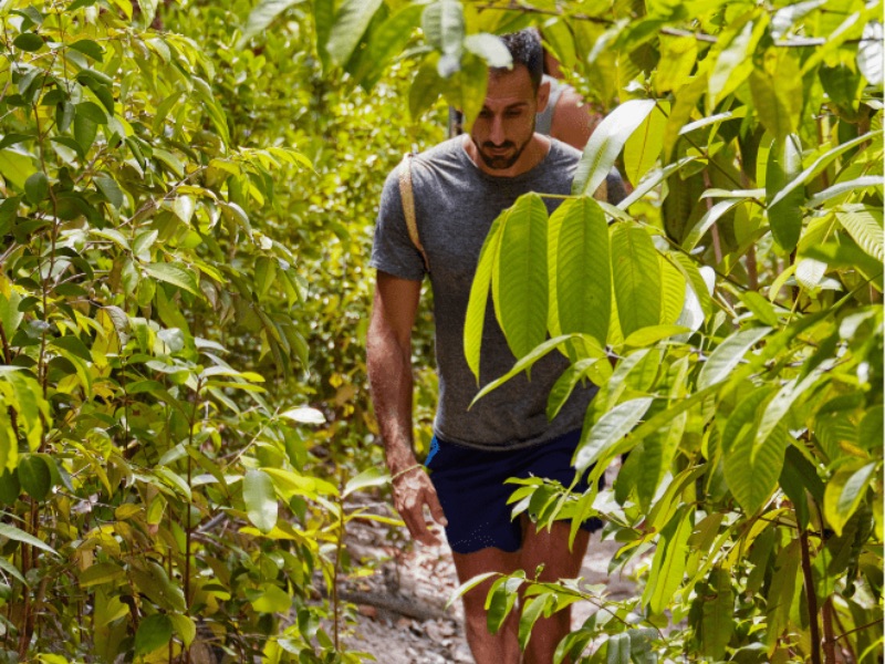 jungle bathing hike