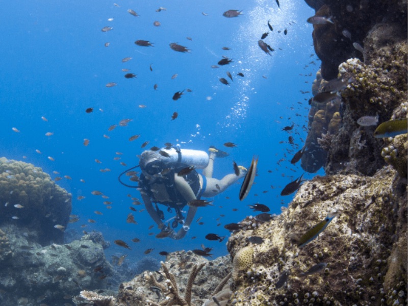 scuba diving