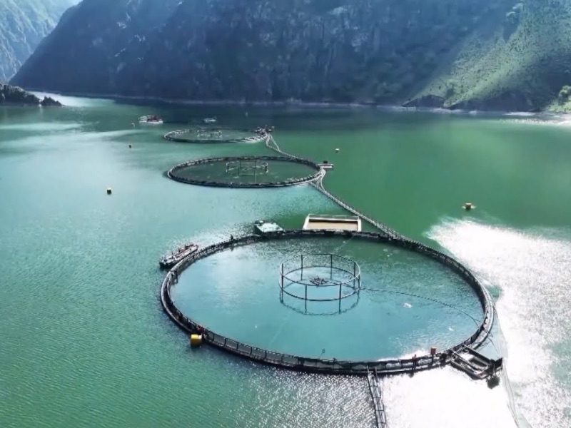 Fish Viewing Hut
