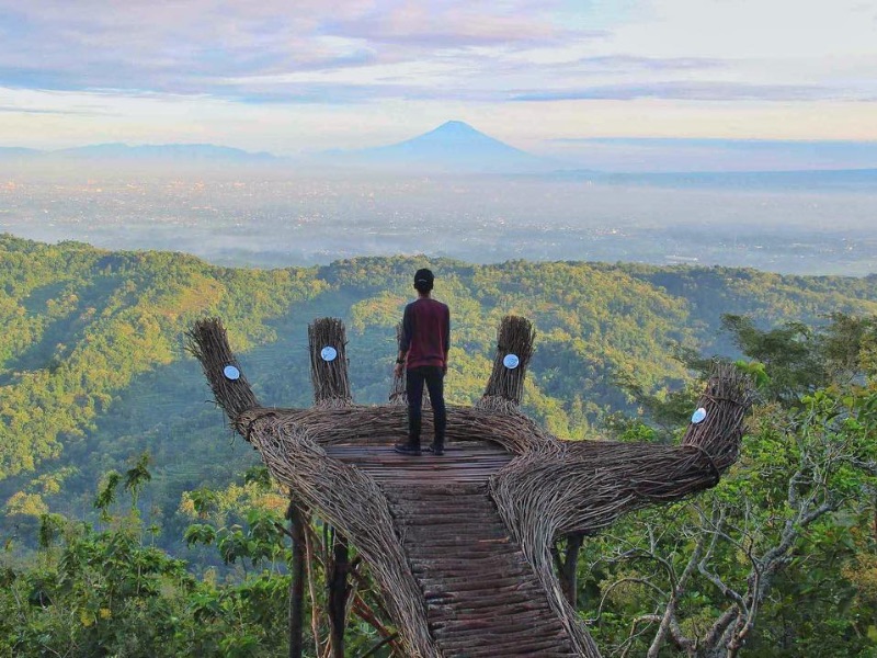 Pengger Pine Forest