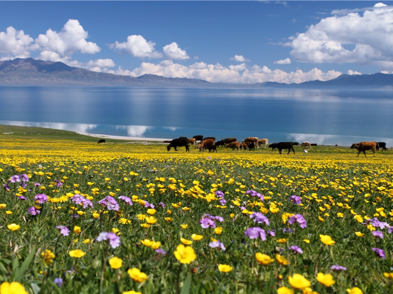 Sayram Lake