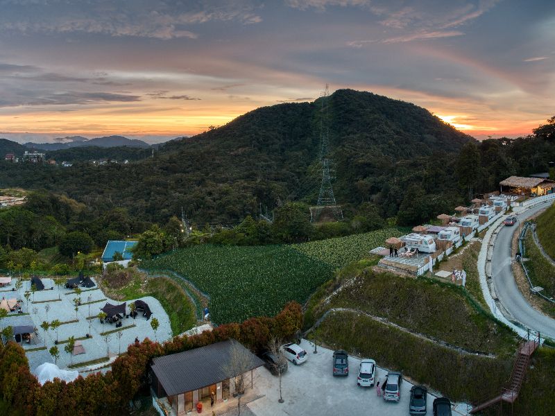 Stellar Golden Hill