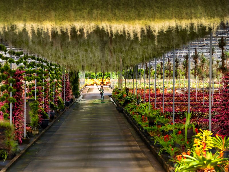 Nong Nooch Tropical Garden