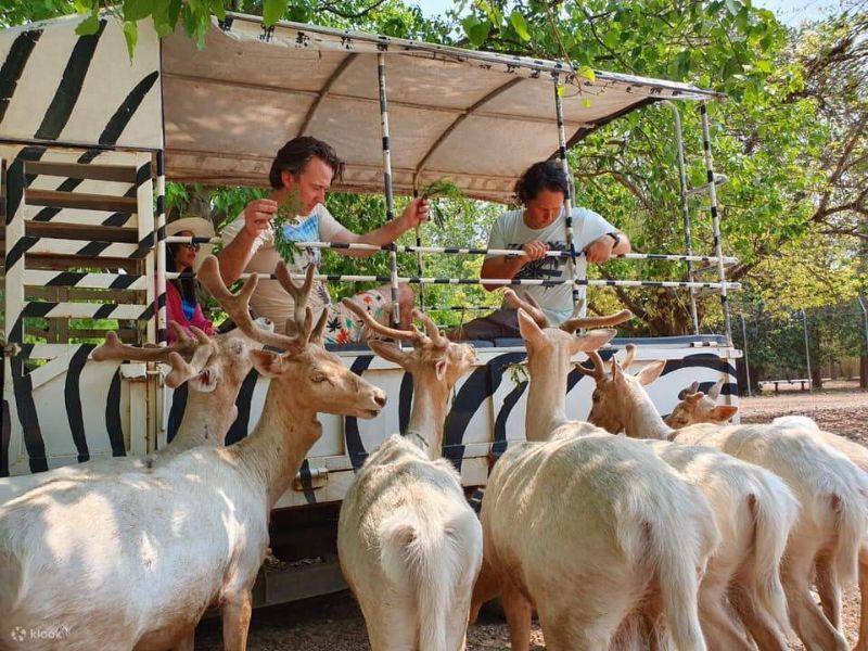 Safari Park Open Zoo Kanchanaburi