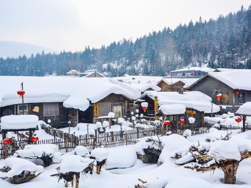 Snow village