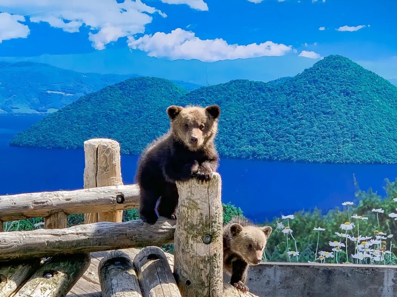 Bear Ranch