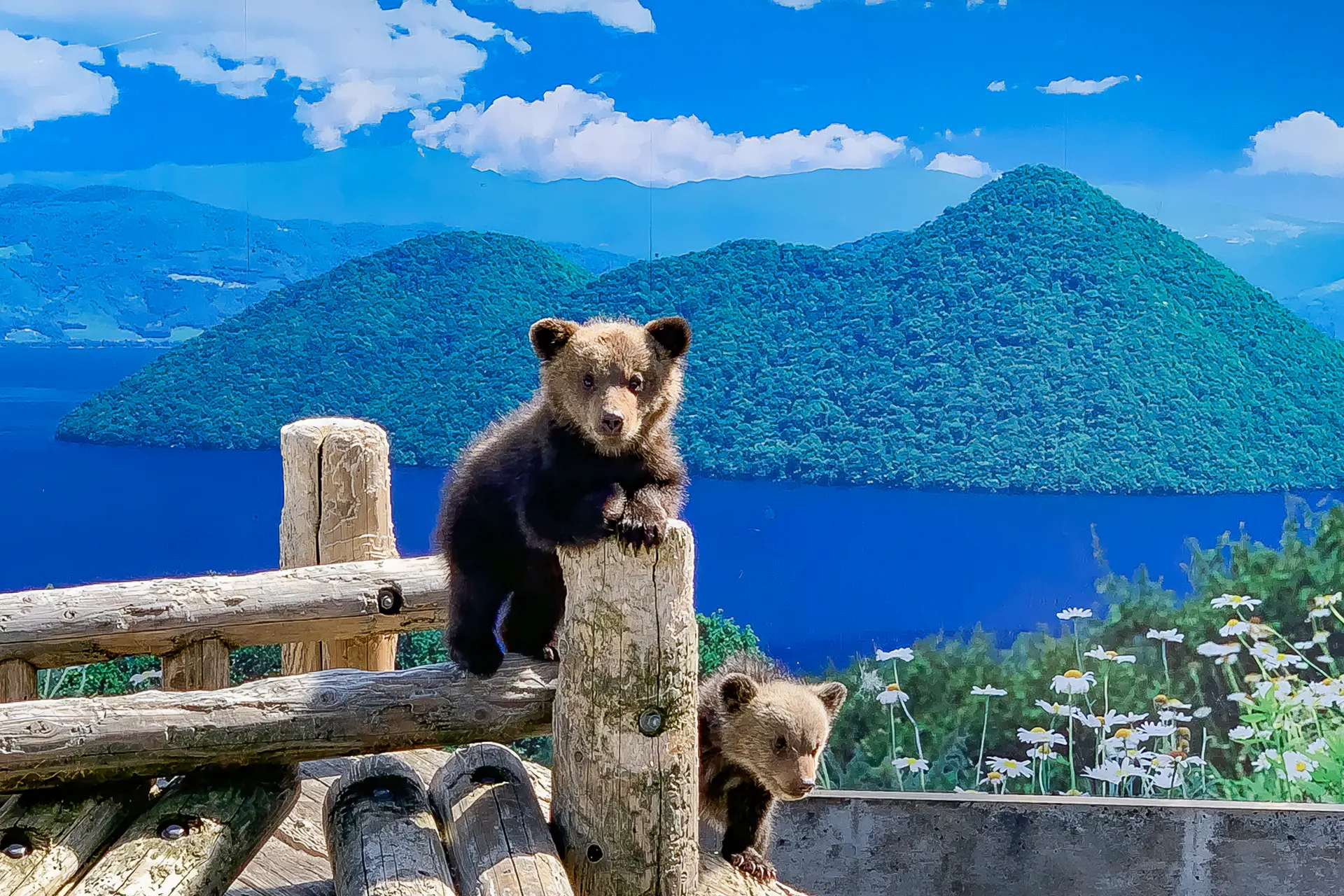 Bear Ranch