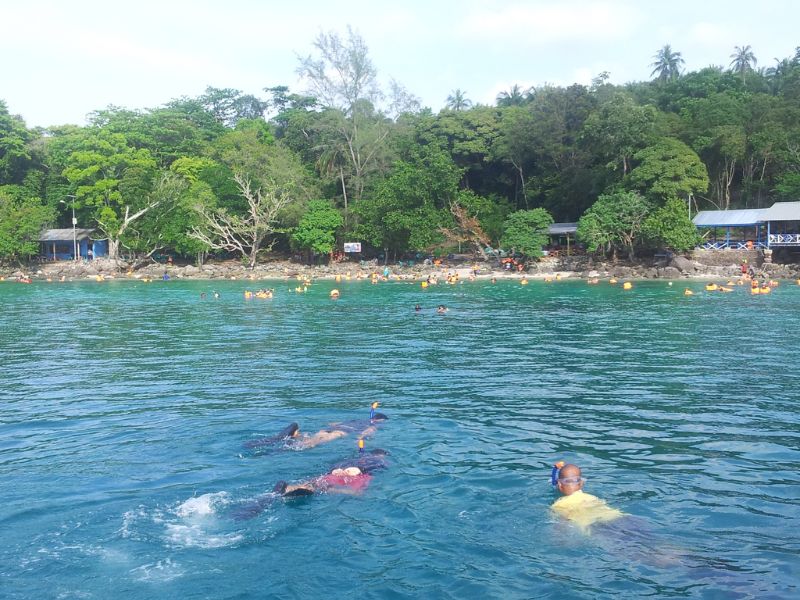 Snorkeling Activity