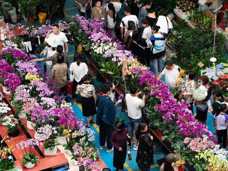 Dounan Flower Market