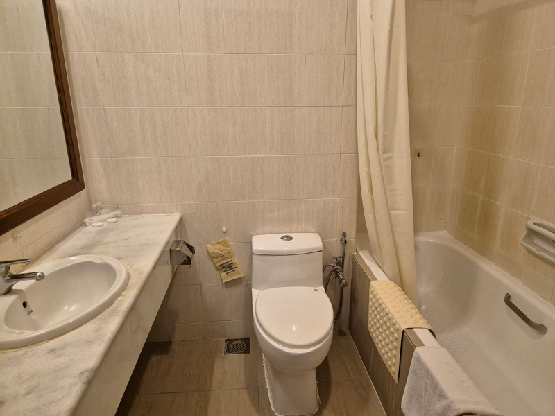 Superior Junior Suite washroom