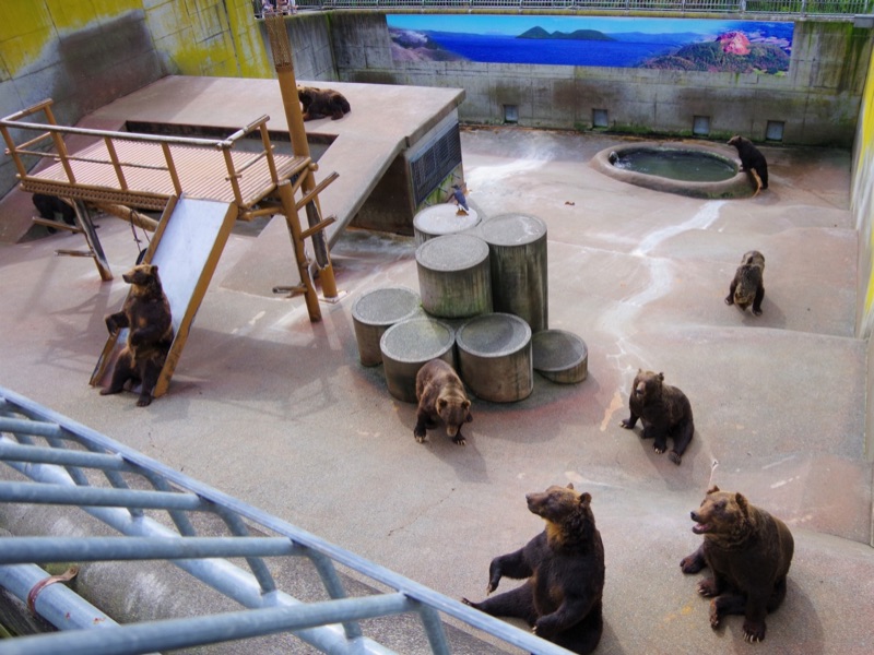 Bear Ranch